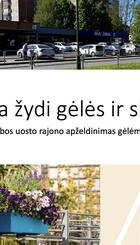 Zvejybos_uosto_rajono_apzeldinimas_gelemis.jpg